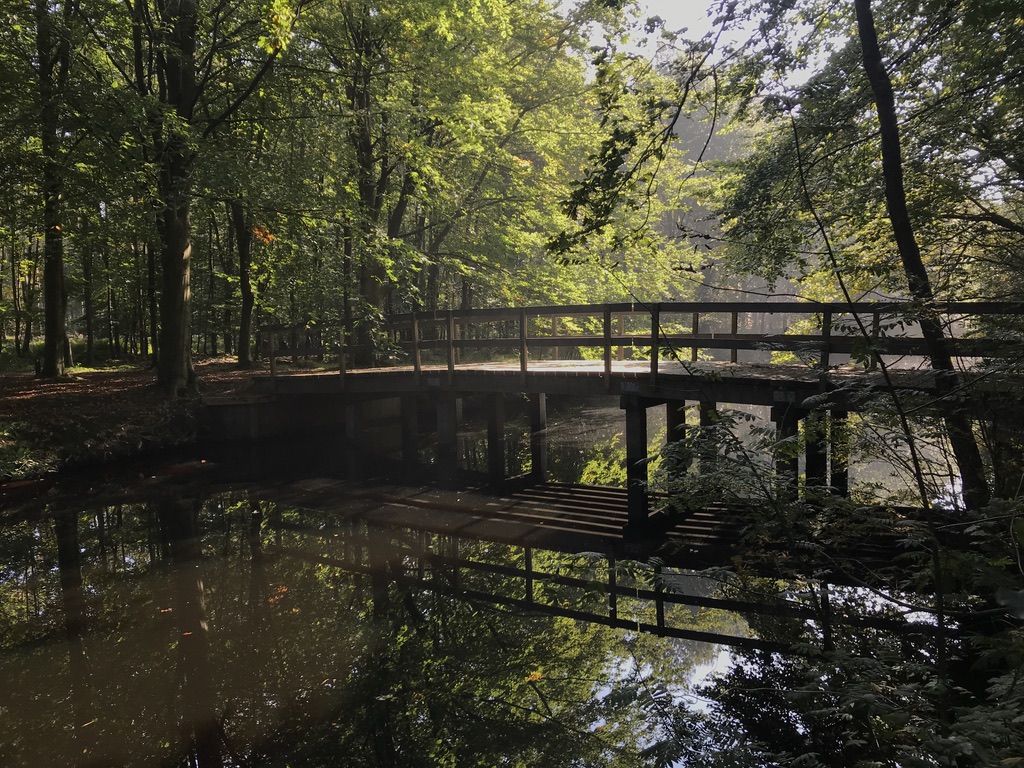 Waardevpl Wandelen - Wandelcoaching