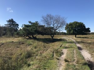 Waardevol Wandelen - Wandeltochten