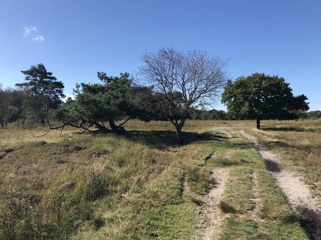 Waardevol Wandelen - Wandeltochten