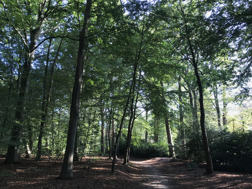 Mind-Walk met Waardevol Wandelen